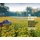 The Authentic Garden - Naturalistic and Contemporary Landscape Design (Hardcover): Richard Hartlage
