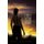 Little Yellow Hawk (Paperback): Bill Walters