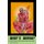 What's Wrong? - Explicit Graphic Interpretations Against Censorship (Paperback): Robin Fisher