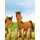 Livro para Colorir de Cavalos 3 (Portuguese, Paperback): Nick Snels