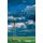 Ogallala Blue - Water and Life on the Great Plains (Paperback): William Ashworth