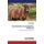Coccidiosis in Domestic Animals (Paperback): Yitbarek Habtamu, Nabon Debela, Sisay Getachew