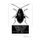 Cranberry Insect Problems and Suggestions - Farmers' Bulletin No. 860 (Paperback): Roger Chambers