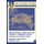 Transnational Crime and the Criminal-Terrorist Nexus - Synergies and Corporate Trends (Paperback): Jennifer L. Hesterman