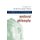 History of Philosophy, Vol 2 - Medieval Philosophy (Paperback, New edition): Frederick C Copleston