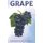 Grape - Fun Facts on Fruits and Vegetables 49 (Paperback): Michelle Hawkins