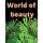 World Of Beauty - Coloring Book with Women Pictures Perfect Gift Wonderul Way To Relax (Paperback): Canada Quattro