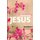 Revealing Jesus - Discovering Life in the Gospel of Mark (Paperback): Global Church