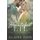 Beautiful Lie (Paperback): Claire Raye