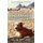 Mango Unleashed - A Thai Rescue Dog Travels The World (Paperback): Sherrie McCarthy