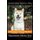 Japanese Akita Inu Training, Dog Care, Dog Behavior, for Japanese Akita Inus By D!G THIS DOG Training, Training Begins From the...