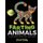 Farting Animals Coloring Book - A Coloring Book for Everyone (Paperback): Carol Calm