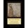 The Swan Maiden - John Bauer Cross Stitch Pattern (Large print, Paperback, Large type / large print edition): Kathleen George,...