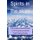 Spirits In The Skies - ( a short story in several parts ) ( a UFO mystery is solved ) ( Hard Science Fiction ) (Paperback):...