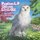 Princess L.P. and Her Little Owl (Paperback): K D Mitchell