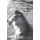 Cream Fifteen - Poems and Stories 1989-2003 (Paperback): Kelly Green