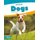 Animals: Dogs (Hardcover): Nick Rebman