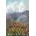 Manual Exposure (Paperback): Jeannie M. Bushnell