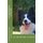 le border collie (French, Paperback): Kiesgen De Richter