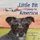 Little Bit Comes to America (Paperback): Star Sherman