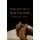 The Joy of A True Fighter (Paperback): Paperwood Publishers
