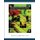Management Information Systems (Paperback, 4th Revised edition): Gerald V. Post, David L Anderson