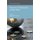 Migration, Globalization, and the State (Paperback, 1st ed. 2013): R. Brickner