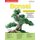 Home Gardener's Bonsai - Buying, planting, displaying, improving and caring for bonsai (Paperback): David Squire