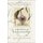 American Curiosity - Cultures of Natural History in the Colonial British Atlantic World (Paperback, New edition): Susan Scott...