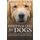Essential Oils For Dogs - Dog Care Safe Natural Aromatherapy Remedies, Recipes For Canines, Puppies, Pets (Paperback): Angela...