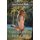 The Lady in the Park (Paperback): Jane Patrick Walls