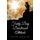 Forty Day Devotional Attitude (Paperback): Pastor Aziz Ditta