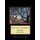 Olive Trees in Bordighera - Monet Cross Stitch Pattern (Large print, Paperback, Large type / large print edition): Kathleen...