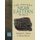 The Ancient Near Eastern World (Hardcover, New): Amanda H Podany, Marni McGee