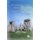 Rethinking Park Protection - Treading the Uncommon Ground of Environmental Beliefs (Hardcover, New): Will Lapage