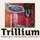 Gerard Guse, Gina Schwarz, Ramon Lopez - Trillium (CD): Gerard Guse, Gina Schwarz, Ramon Lopez