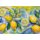 CITRUS ZEST SML 400x300mm - decoupage paper: 