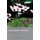 The Cherry Orchard - A Comedy in Four Acts (Paperback, New Edition - New Edition): Michael Frayn