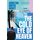 The Cold Eye of Heaven (Paperback): Christine Dwyer Hickey