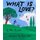 What Is Love? (Hardcover): Mac Barnett