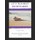 Let's Talk about Sex with Sandy - What You Need to Know about Sex, Hormones and Nutrition to Be Your Best, Most Vibrant,...