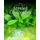 Steviol Glycosides - Production, Properties, and Applications (Paperback): Charis Galanakis