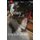 Secrets In The A (Paperback): Crystal Smith