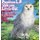 Princess L.P. and Her Little Owl (Hardcover): K D Mitchell