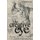 The Creative Eye - Drawing, Vision and the Brain (Paperback, 3rd Black and White ed.): Heather Spears