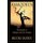 Asmodeus - The Legend of Margret and the Dragon (Paperback): Brooks Hansen