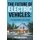 The Future of Electric Vehicles - A Sustainable Solution (Paperback): Taiwo Ayodele