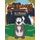 The Badger and the Honey Tree (Paperback): W. J. McLennan