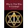 Who is This Who is Coming? (Hardcover): Robert Laynton