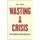 Wasting a Crisis (Hardcover): Paul G Mahoney